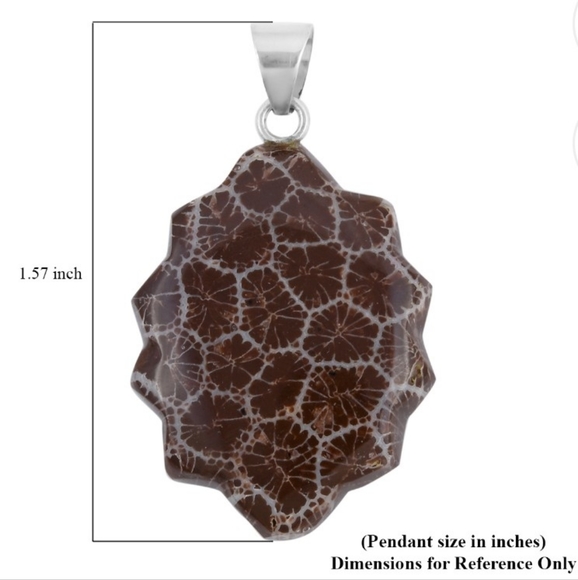 NEW Sponge Coral Brown Fancy Pendant in Sterling Silver - Picture 11 of 11